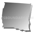 Wadesboro township, Anson County, North Carolina (Gray Gradient Fill with Shadow)