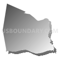 Ellendale township, Alexander County, North Carolina (Gray Gradient Fill with Shadow)