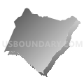 Williamsburg County School District, South Carolina (Gray Gradient Fill with Shadow)