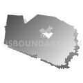 Williamson County School District, Tennessee (Gray Gradient Fill with Shadow)