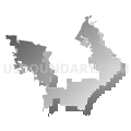 Congressional District 39, California (Gray Gradient Fill with Shadow)