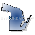 Congressional District 8, Wisconsin (Radial Fill with Shadow)