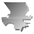 Congressional District 1, Nevada (Gray Gradient Fill with Shadow)