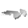 Congressional District 4, Florida (Gray Gradient Fill with Shadow)