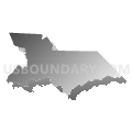 Congressional District 5, South Carolina (Gray Gradient Fill with Shadow)