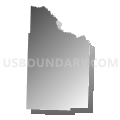 Nevada County, Arkansas (Gray Gradient Fill with Shadow)