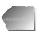 Dooly County, Georgia (Gray Gradient Fill with Shadow)