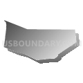 Montgomery County, New York (Gray Gradient Fill with Shadow)