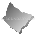 Laurens County, South Carolina (Gray Gradient Fill with Shadow)