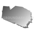 Williamson County, Tennessee (Gray Gradient Fill with Shadow)