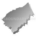 Roane County, Tennessee (Gray Gradient Fill with Shadow)