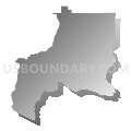 Auburn-Opelika CCD, Lee County, Alabama (Gray Gradient Fill with Shadow)