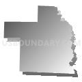 Dry Run township, Dallas County, Arkansas (Gray Gradient Fill with Shadow)