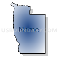 Bruneau CCD, Owyhee County, Idaho (Radial Fill with Shadow)