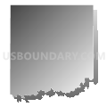 Salt Creek township, Mason County, Illinois (Gray Gradient Fill with Shadow)
