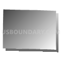 Boone township, Texas County, Missouri (Gray Gradient Fill with Shadow)