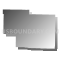 Cass township, Texas County, Missouri (Gray Gradient Fill with Shadow)