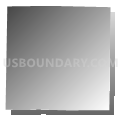Roubidoux township, Texas County, Missouri (Gray Gradient Fill with Shadow)