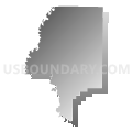 Union township, Dunklin County, Missouri (Gray Gradient Fill with Shadow)