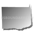 County subdivisions not defined, Wayne County, New York (Gray Gradient Fill with Shadow)