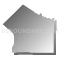 Goose Creek township, Union County, North Carolina (Gray Gradient Fill with Shadow)