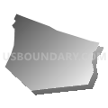 Richland township, Beaufort County, North Carolina (Gray Gradient Fill with Shadow)