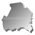 Chimney Rock township, Rutherford County, North Carolina (Gray Gradient Fill with Shadow)
