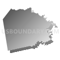 Township 6, Chinquapin, Jones County, North Carolina (Gray Gradient Fill with Shadow)