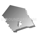 Newtown township, Bucks County, Pennsylvania (Gray Gradient Fill with Shadow)