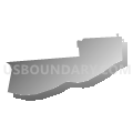 Williamsport city, Lycoming County, Pennsylvania (Gray Gradient Fill with Shadow)