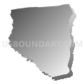 Broaddus CCD, San Augustine County, Texas (Gray Gradient Fill with Shadow)
