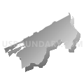 District II, Mercer County, West Virginia (Gray Gradient Fill with Shadow)