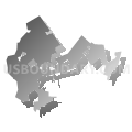 Swepsonville town, North Carolina (Gray Gradient Fill with Shadow)