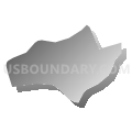 Bon Air CDP, Virginia (Gray Gradient Fill with Shadow)