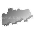 Broome County (West Central)--Greater Binghamton City & Greater Johnson City Village PUMA, New York (Gray Gradient Fill with Shadow)