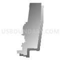 State House District 91, Florida (Gray Gradient Fill with Shadow)