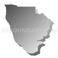State House District 74, Florida (Gray Gradient Fill with Shadow)
