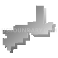 State House District 102, Illinois (Gray Gradient Fill with Shadow)