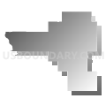 State House District 55, Iowa (Gray Gradient Fill with Shadow)