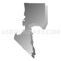Assembly District 20, Nevada (Gray Gradient Fill with Shadow)