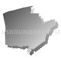 Assembly District 21, New York (Gray Gradient Fill with Shadow)