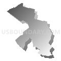 Assembly District 96, New York (Gray Gradient Fill with Shadow)