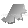 State House District 67, North Carolina (Gray Gradient Fill with Shadow)