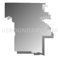 State House District 29, Oklahoma (Gray Gradient Fill with Shadow)