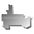 State House District 114, Texas (Gray Gradient Fill with Shadow)