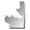 State House District 65, Texas (Gray Gradient Fill with Shadow)