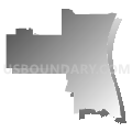 State House District 43, Texas (Gray Gradient Fill with Shadow)