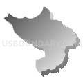 State House District 40, Puerto Rico (Gray Gradient Fill with Shadow)