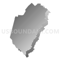 Suffolk & Norfolk District, Massachusetts (Gray Gradient Fill with Shadow)
