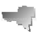 State Senate District 9, Nebraska (Gray Gradient Fill with Shadow)
